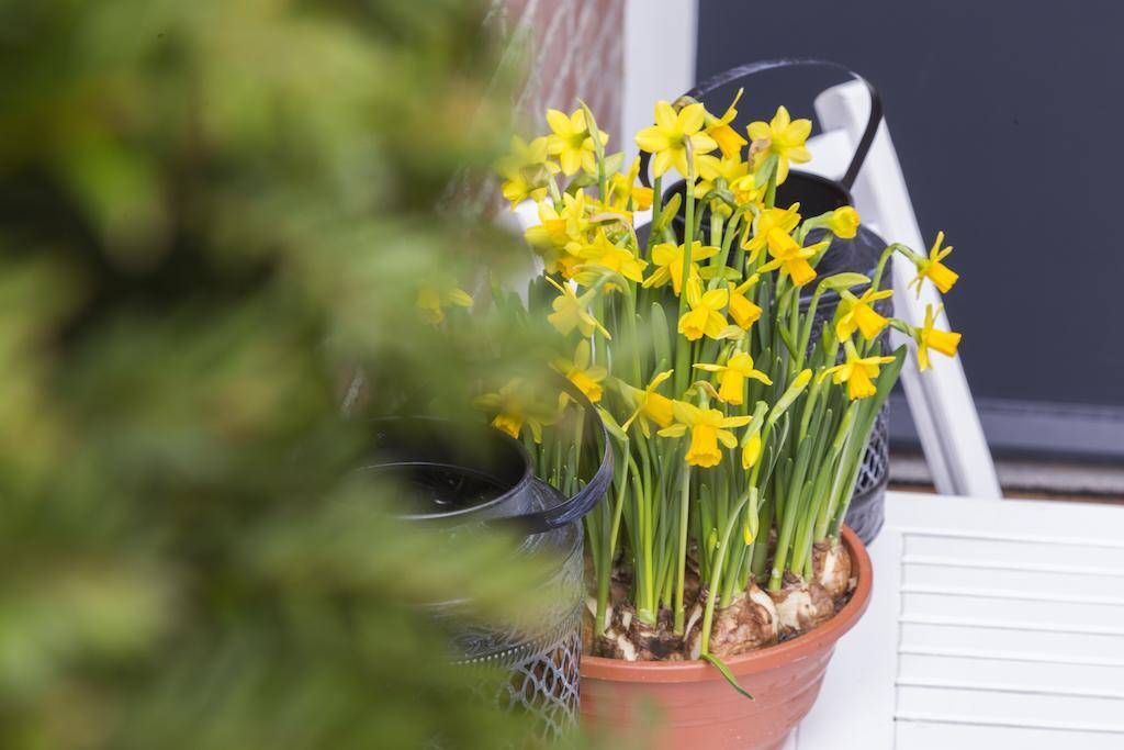 Bij Jans Bed & Breakfast Hilvarenbeek Luaran gambar